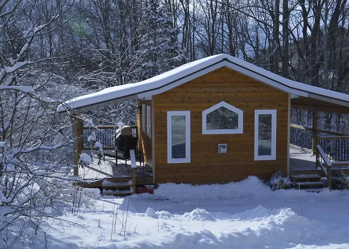 Serene Westside Tiny Cabin